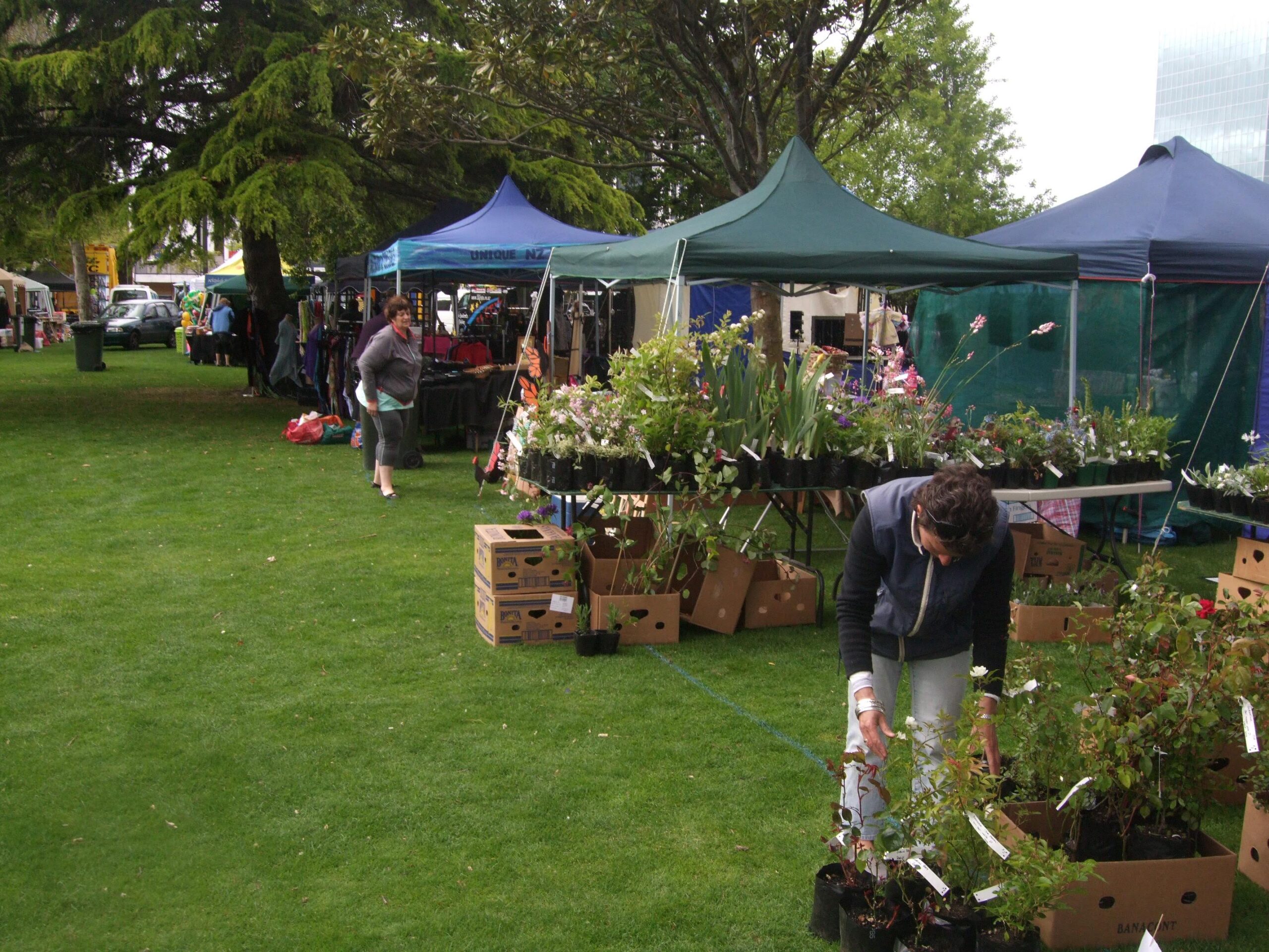 Crowds at Lions Market Day