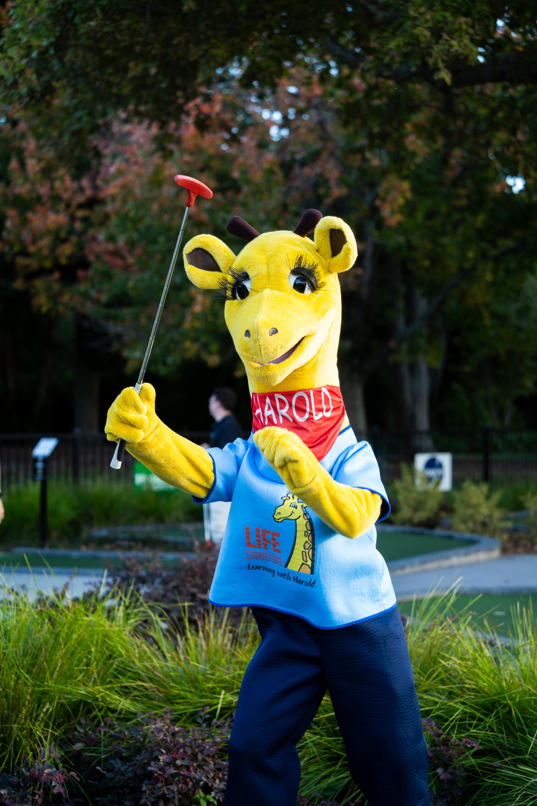 Players on the Lions Mini Golf course