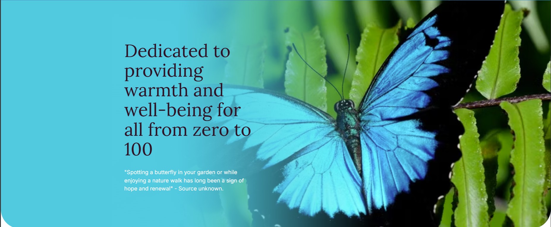 Butterfly Compassion Community – Donation