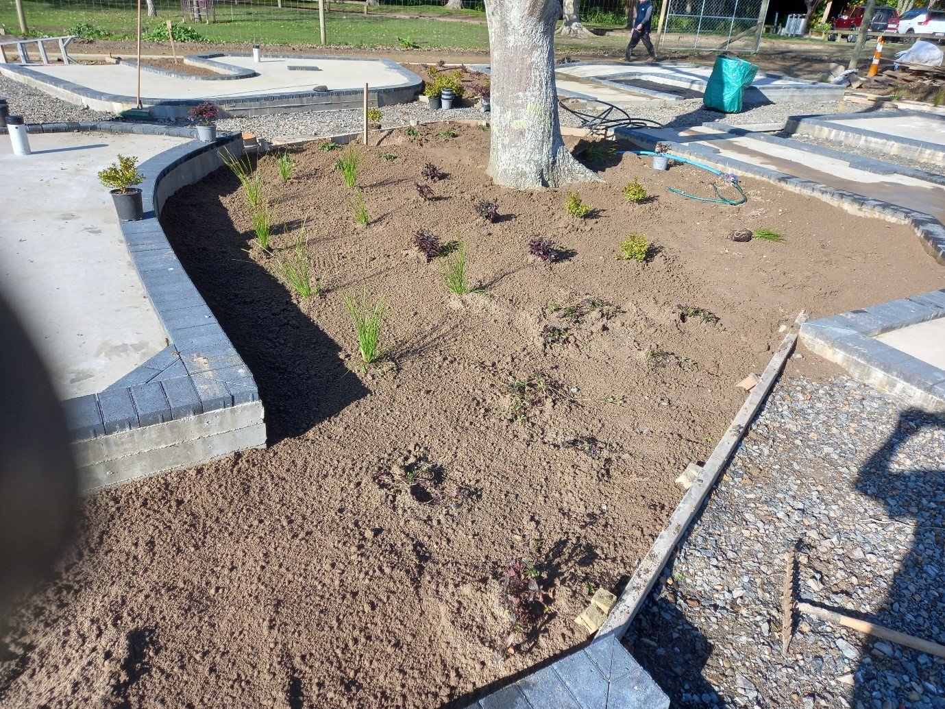 Planting Begins